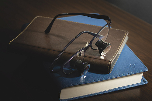 NK Vision TTL x3.3 – Бинокуляры