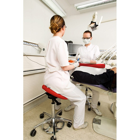 Salli Ergorest with Stretching Support - опора для двух рук со спинкой для выполнения работ, требующих высокой точности