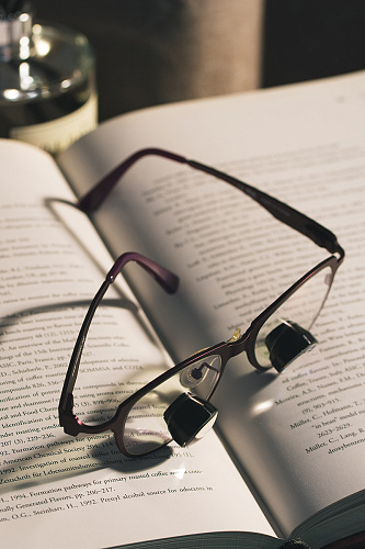 NK Vision TTL x2.5 – Бинокуляры